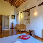 Luce Tra I Saggi 8 By Marche