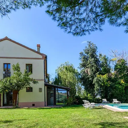 Luce Tra I Saggi 8 By Marche