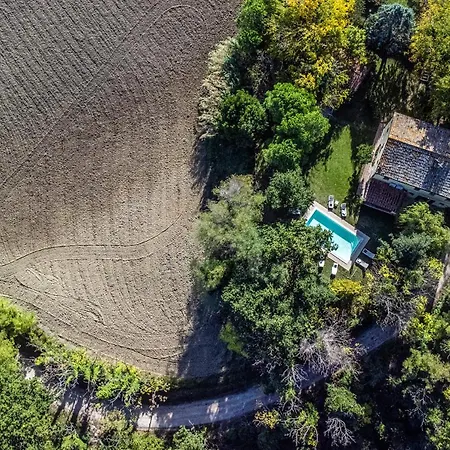 Luce Tra I Saggi 8 By Marche