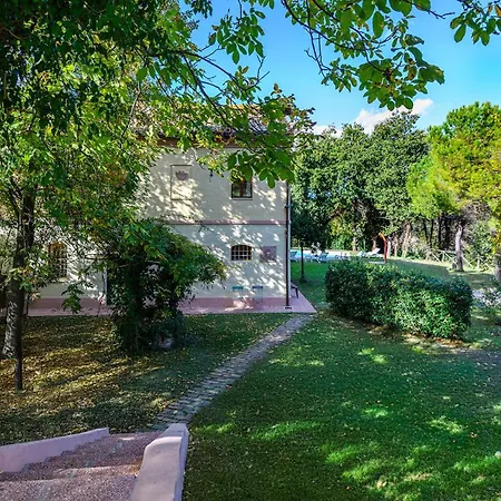 Luce Tra I Saggi 8 By Marche *