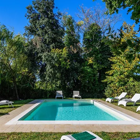 Luce Tra I Saggi 8 By Marche *