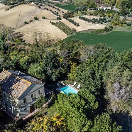 Luce Tra I Saggi 8 By Marche