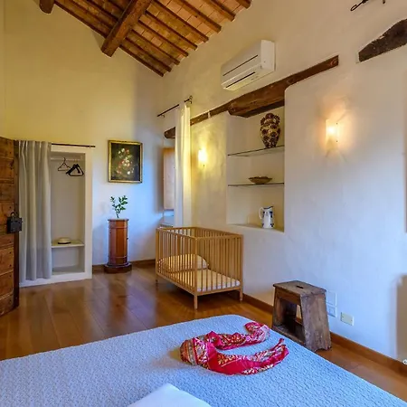 Luce Tra I Saggi 8 By Marche