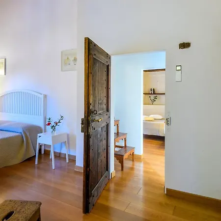 Luce Tra I Saggi 8 By Marche *